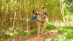Катание на слонах на острове Ланта