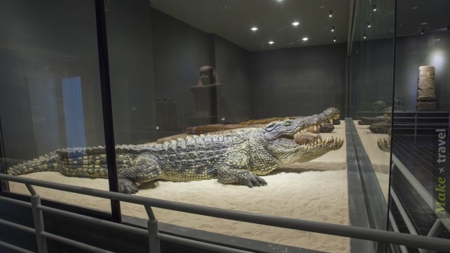 Крокодил Цены В Магазинах