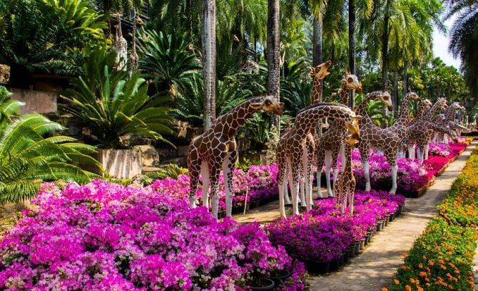 Тропический сад Нонг Нуч в Паттайе 