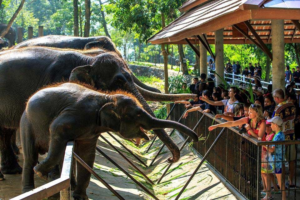 Открытый зоопарк Кхао Кхео в Паттайе (Khao Kheow Zoo)