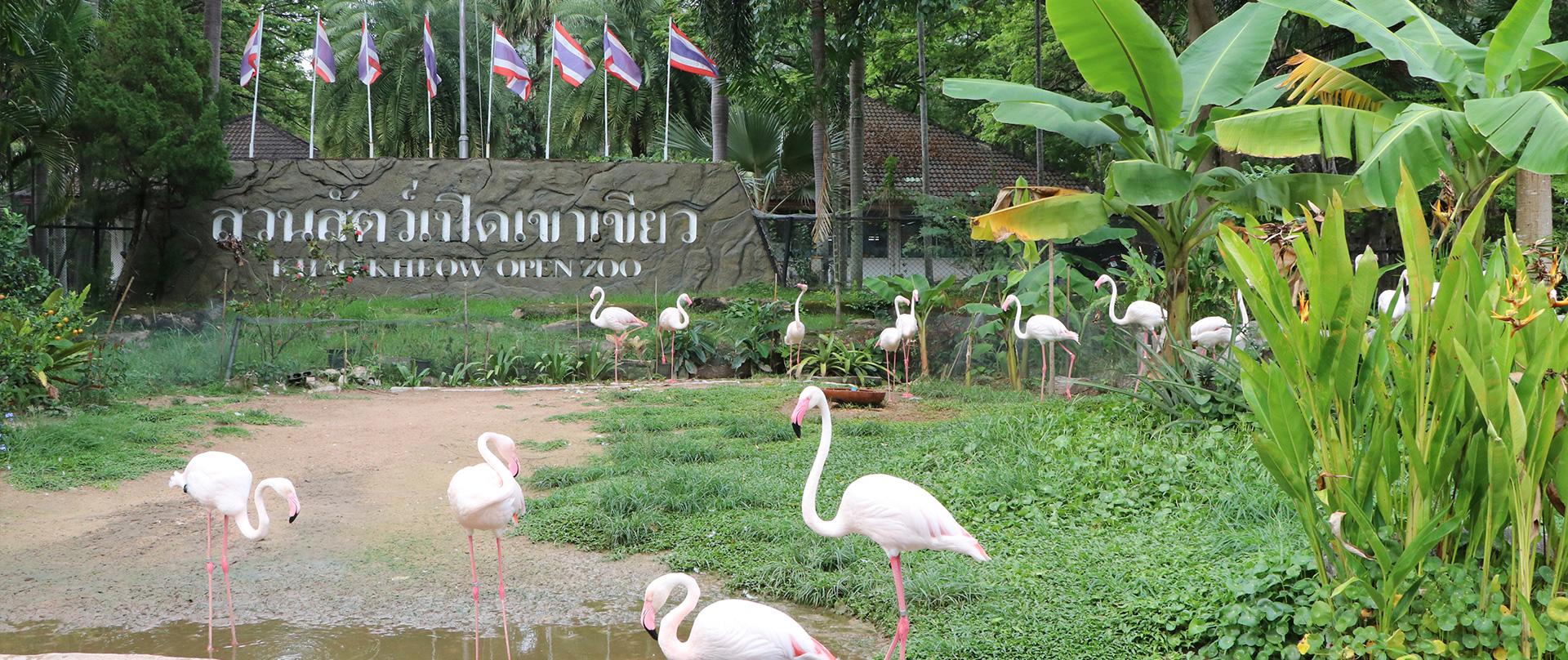Открытый зоопарк Кхао Кхео в Паттайе (Khao Kheow Zoo)
