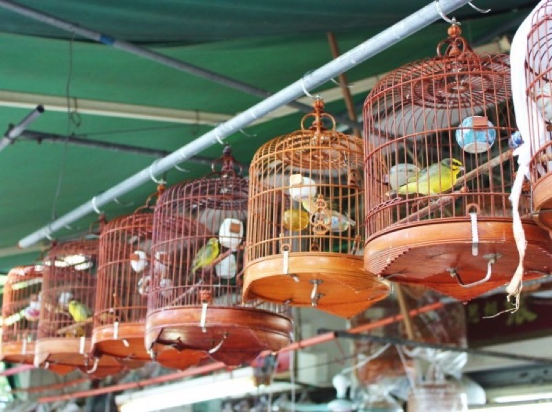 Рынок животных в Паттайе