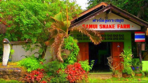 Змеиная ферма на Самуи (Samui Snake Farm)