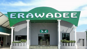 Erawadee - магазин традиционной тайской медицины
