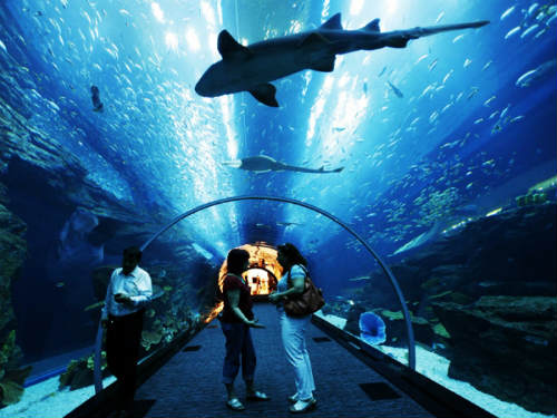 Океанариум Underwater World Pattaya