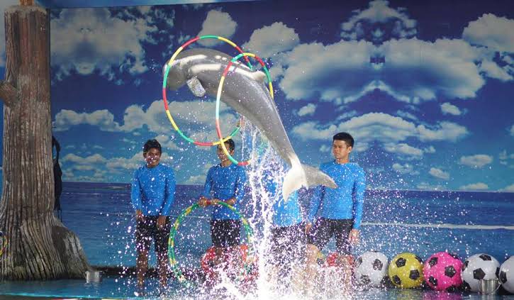 Дельфинарий Dolphin World в Паттайе