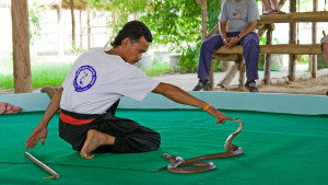 Змеиная ферма Pattaya Snake Farm