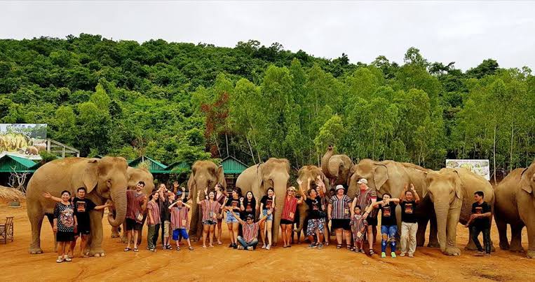 Слоновья деревня в Паттайе
