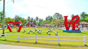 Овечья ферма Pattaya Sheep farm 