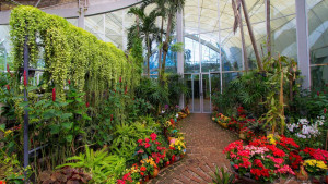 Ботанический сад на Пхукете